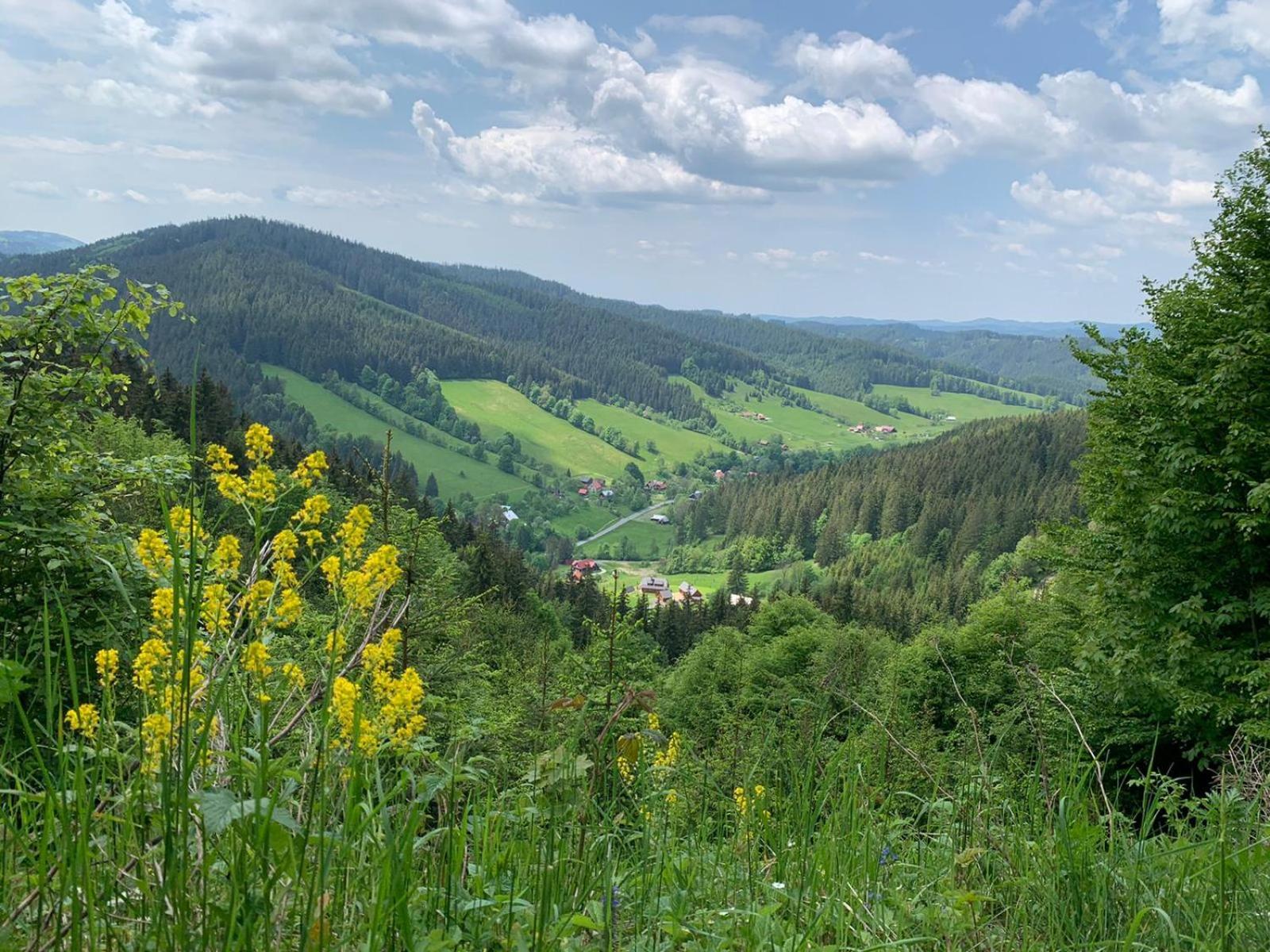 Polansky Dvur Daire Velké Karlovice Dış mekan fotoğraf